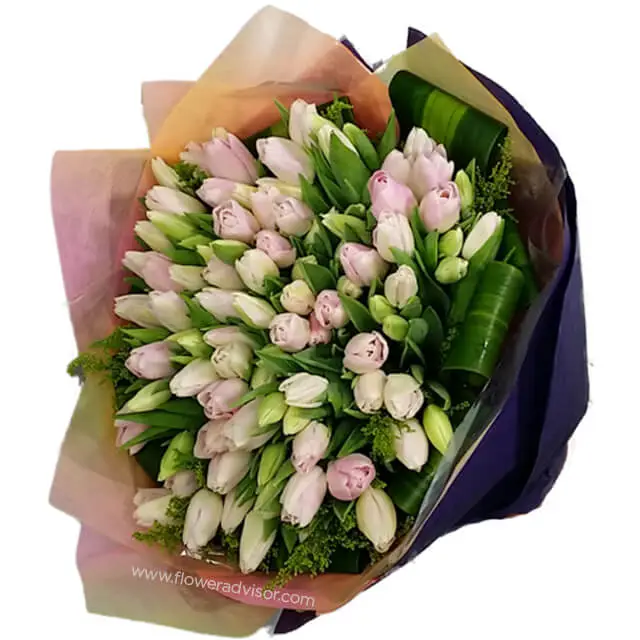 Meadow Violet - Hand Bouquets