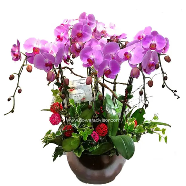 Purple Craze - Table Flowers