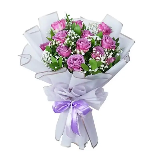 Wonder Imperial Purple Rose - VDAY 2024 - Valentine's Day