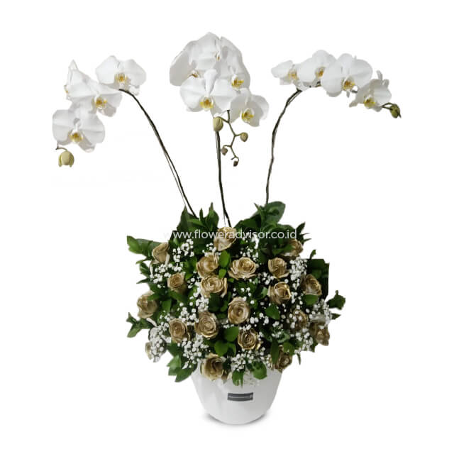 Classy Orchid Arrangement - Lucille - Get Well Soon