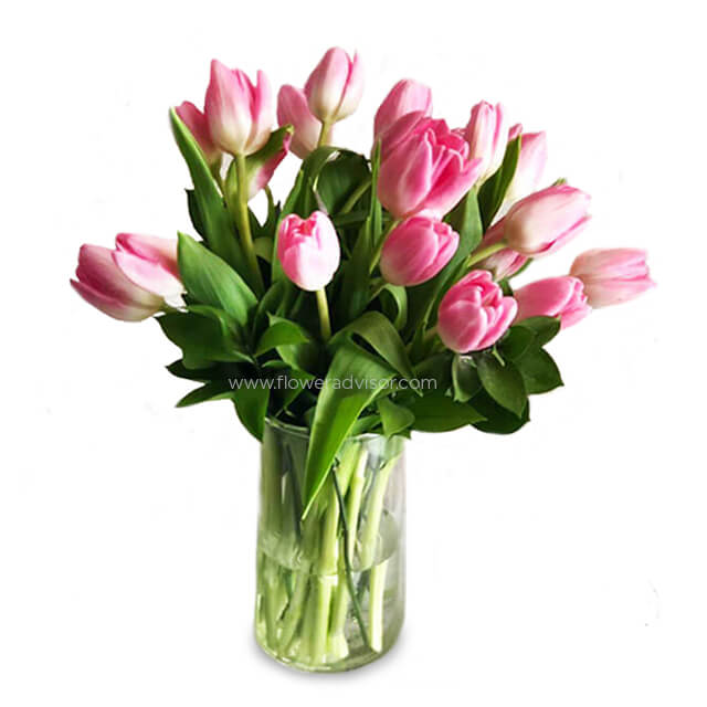 20 Pink Tulips Vase Arrangement - Tulips Scent - Anniversary