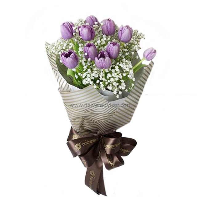 10 Purple Tulips Bouquet with Baby Breath - Charlotte - Valentine's Day