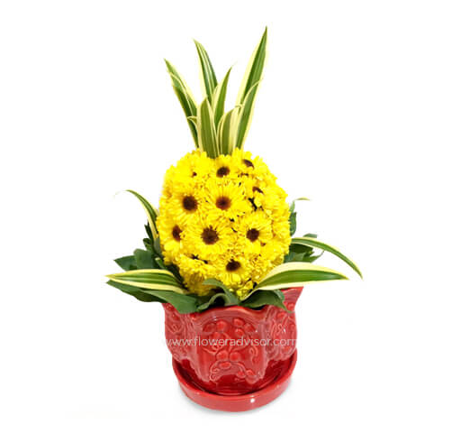 Prosperity Pineapple Arrangement (Small) - Congratulations