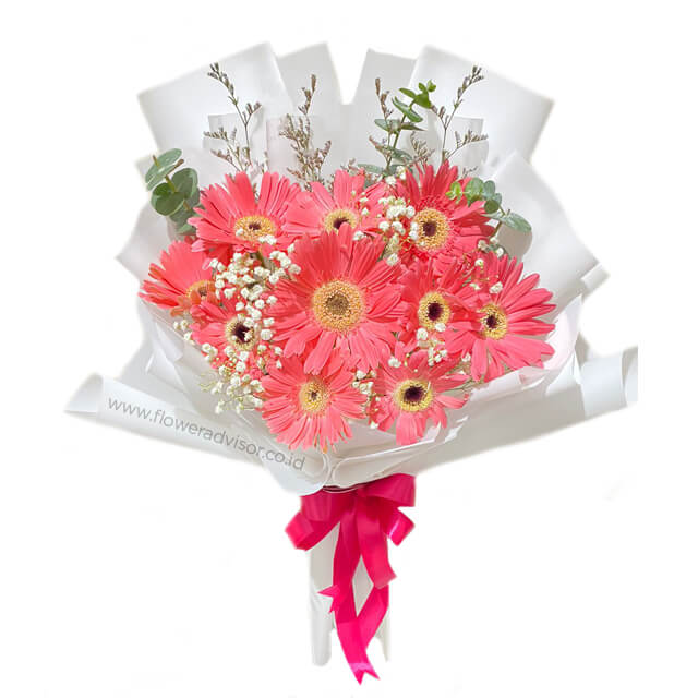 Special Pink Gerberas Bouquet - Isla - Birthday