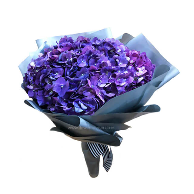 Royal Beauty - Royal Hydrangea Bouquet - Birthday