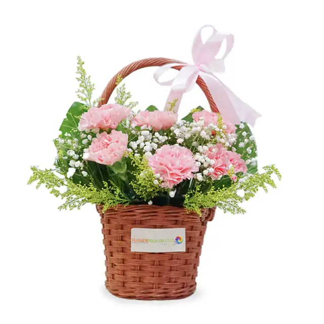 Pink Carnation Basket Arrangement - Petal Dreams - Anniversary