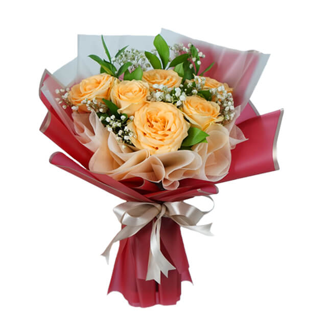 Wonder Peach Elegance Rose - Peach Roses