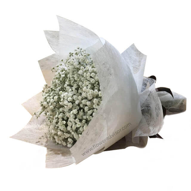 Majestic Baby Breath Bouquet - White Babies - Hand Bouquets