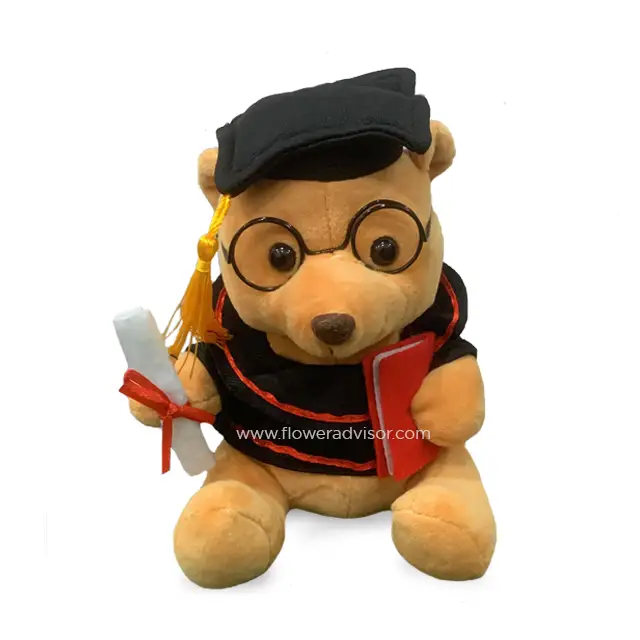 Graduation Teddy Bear