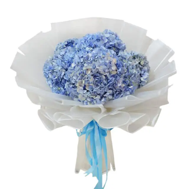 Blue Hydrangeas Bouquet - My Baby Blue - Graduation