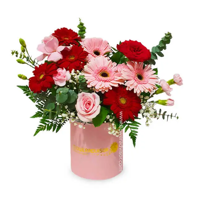 Enchanting Gerbera Bloom Box - Joyous Shades - Anniversary