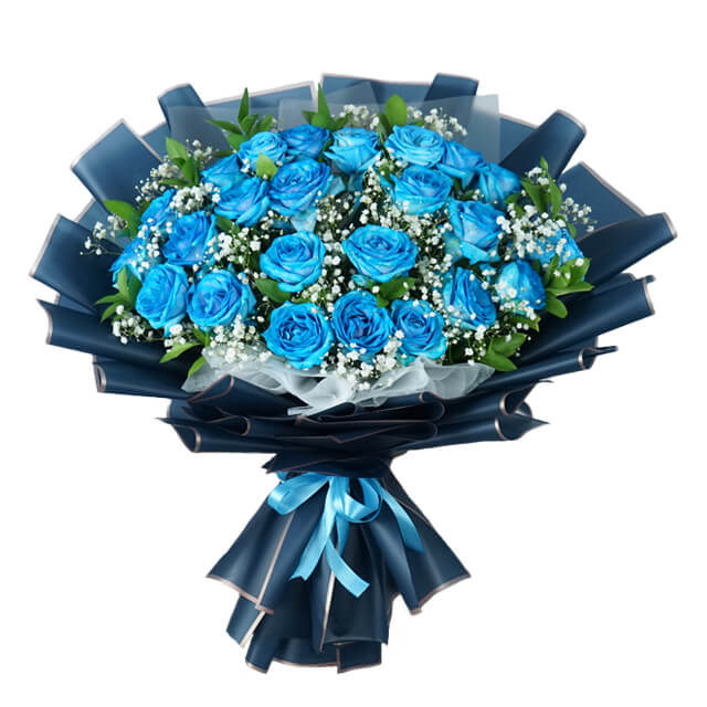 24 Blue Rose Bouquet - Wonder - Get Well Soon