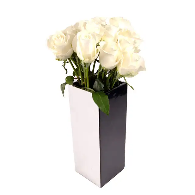 12 White Roses