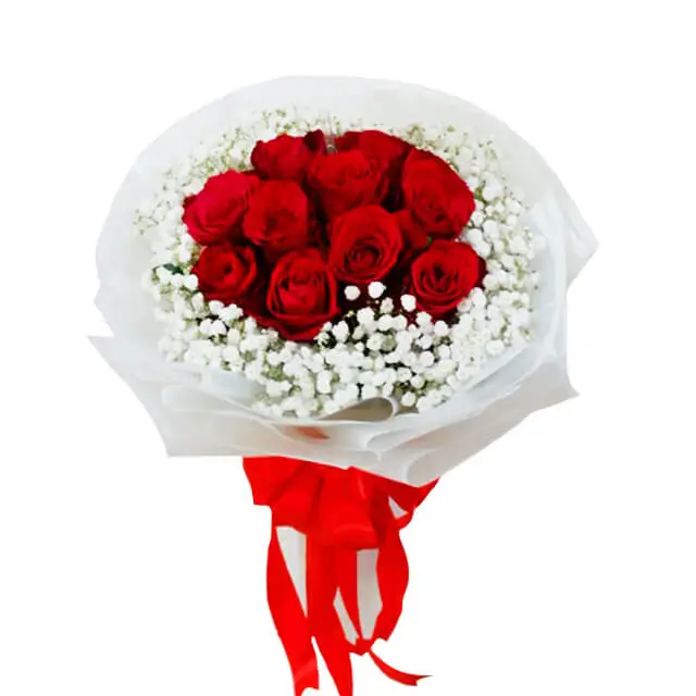 Elegant 10 Red Roses Bouquet - Jacqueline