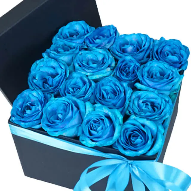 Box Blue Breeze Rose