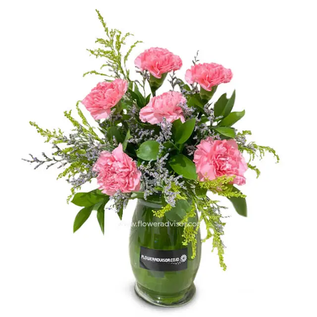 6 Stalk Carnation Vase Arrangement - Lovely Carnations