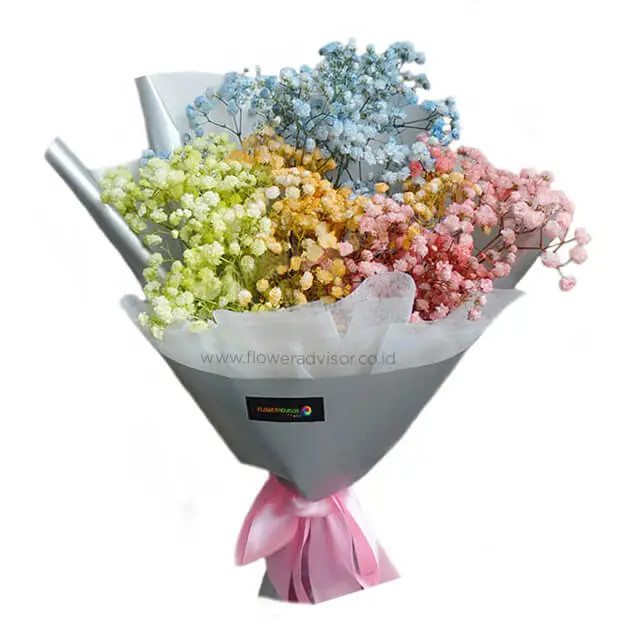 Rainbow Baby Breath Bouquet - Catching The  Rainbow