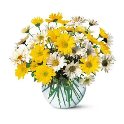 Daisy Vase